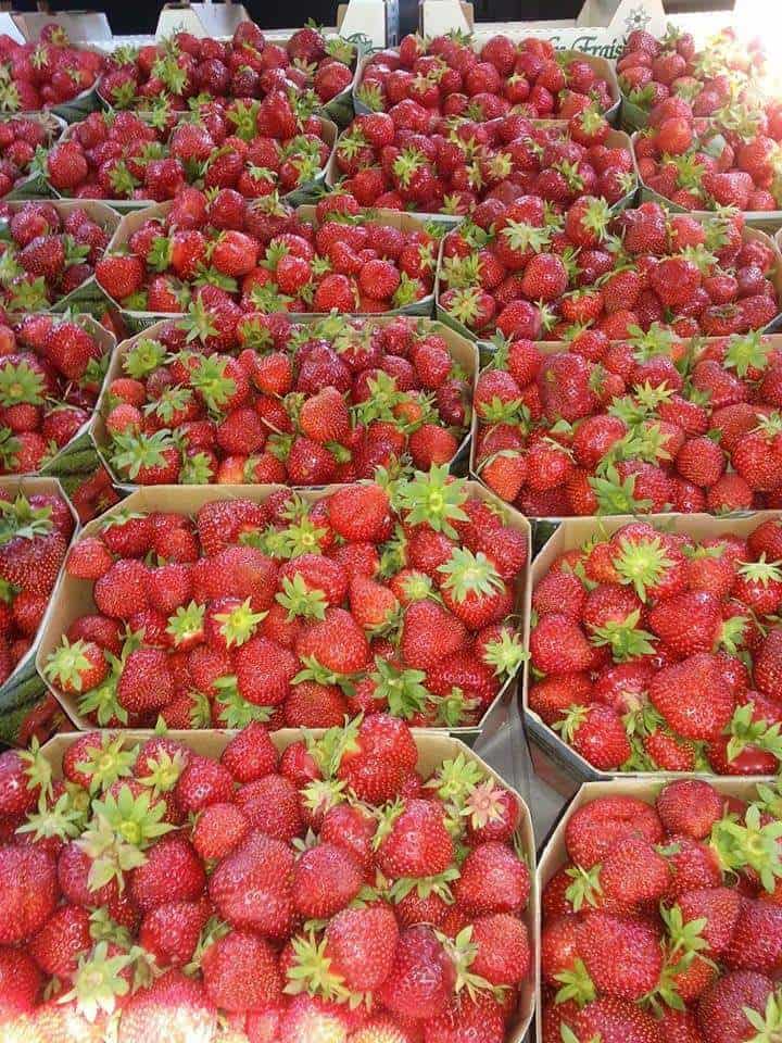 fraise
