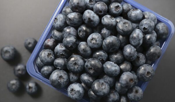blueberry.3096a209