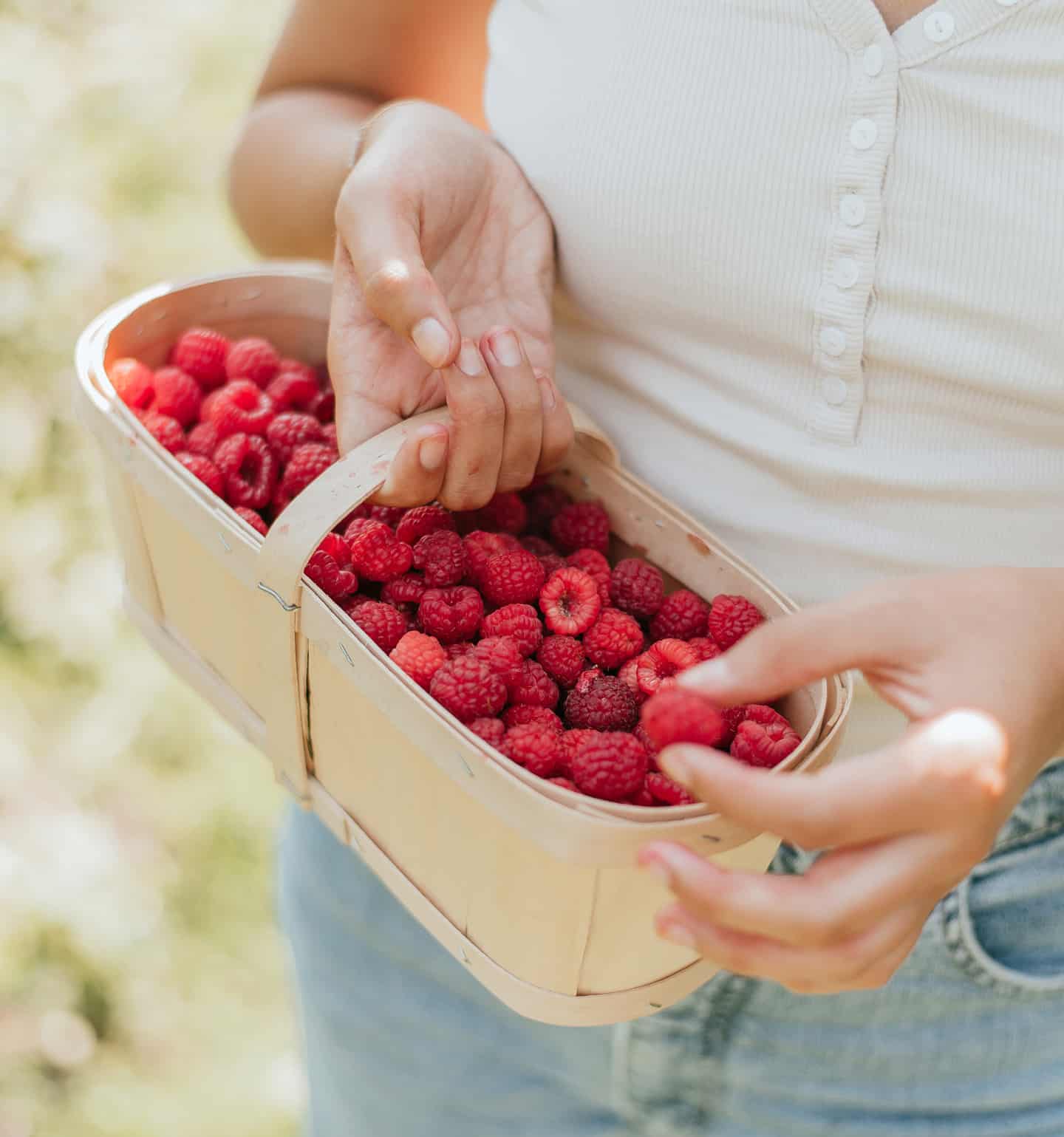 Tout sur la framboise